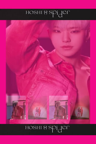 Hoshi's Web of Charisma 🕷️✨