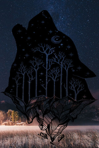 Echoes of the Cosmic Howl 🌌🐺