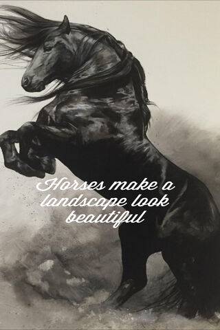 Majestic Equine Beauty 🌟