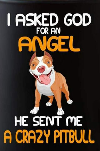 A Divine Surprise: My Crazy Pitbull Angel! 🐾✨