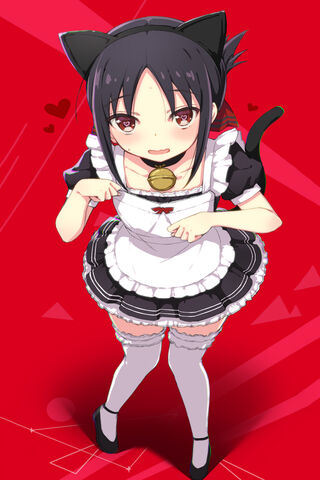 Kaguya's Playful Charm 🐾❤️