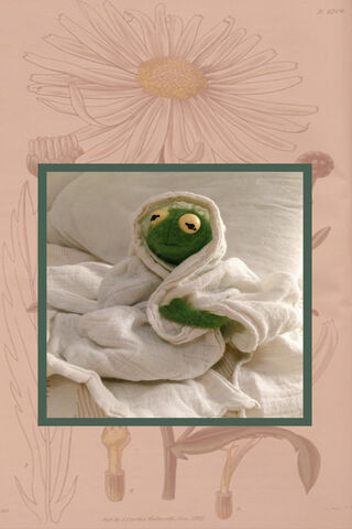 Cozy Kermit: A Snug Adventure! 🐸✨