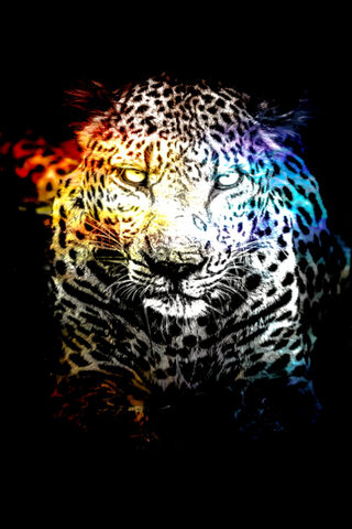 Vibrant Majesty: The Colorful Leopard