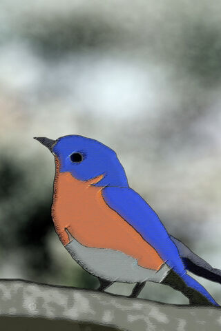 Whimsical Bluebird Dreams 🌈🐦