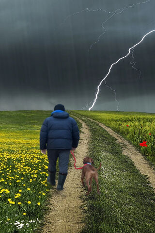 Stormy Stroll: A Walk to Remember 🌩️🐾