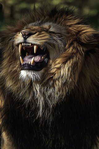 Lion Wallpapers