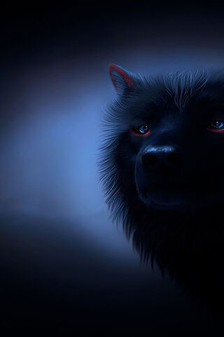 Lupo: The Shadowed Guardian 🐺✨