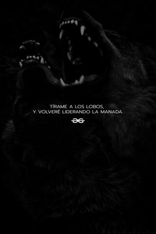Embrace the Wolves: Leading the Pack