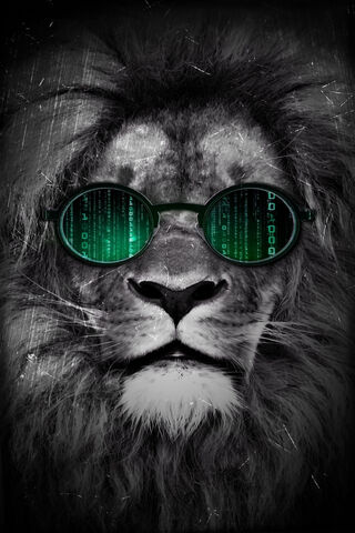 The Matrix Lion: A Roar..