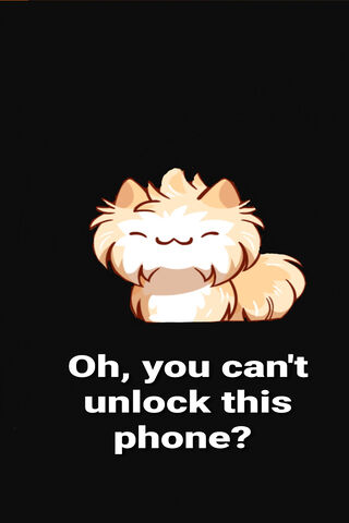 Locked Cat