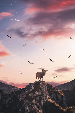 Awakening Dawn: The Majesty of Morning Glory 🌅🦌