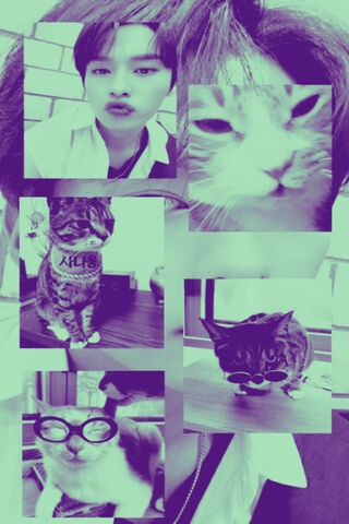 Minty Lee Know: A Purr-fect Blend of Charm and Whiskers! 🐾💚