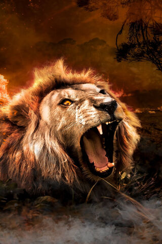 Roar of the Wild: The Mad Lion Unleashed 🦁🔥