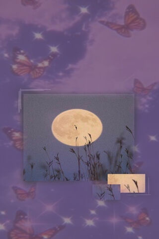 Whispers of the Night: Moonlit Butterflies 🌙🦋