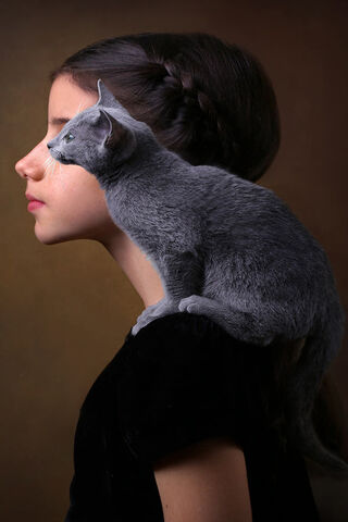Whiskers of Imagination