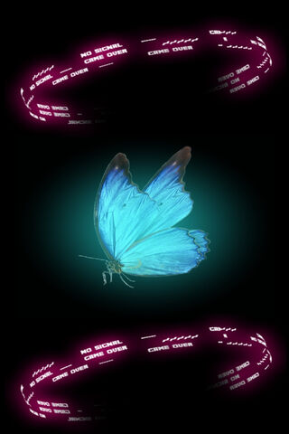 Neon Butterfly