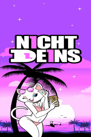 Chillin' with ND Summer Cat 🌴😎