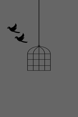 Freedom Awaits: The Open Cage