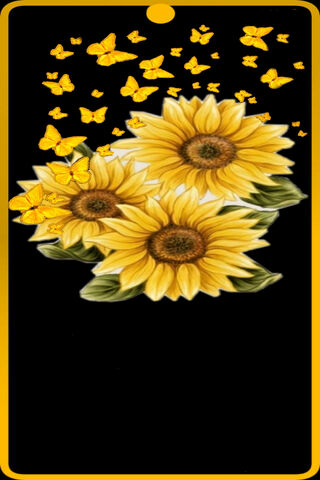 Sunshine and Butterflies: A Vibrant Escape 🌻🦋
