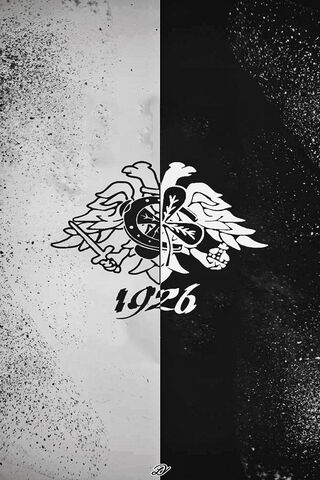 The Legacy of PAOK FC: A Symbol of Passion ⚽️🖤🤍