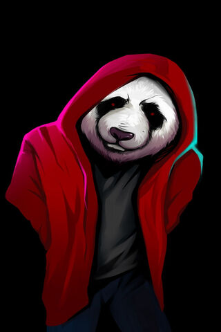 Panda in the Shadows 🐼🌌