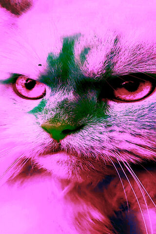 Pink Cat Cat Pink Kawaii HD phone wallpaper  Pxfuel