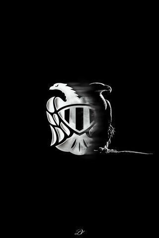 The Majestic PAOK Eagle: A Symbol of Strength 🦅⚽