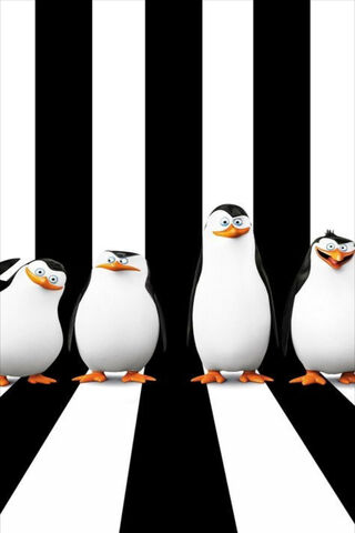 Penguin Parade: The Coolest Crew in Town! 🐧🎉