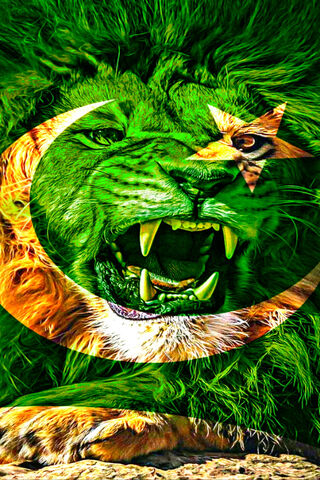 Pakistan Flag King 2