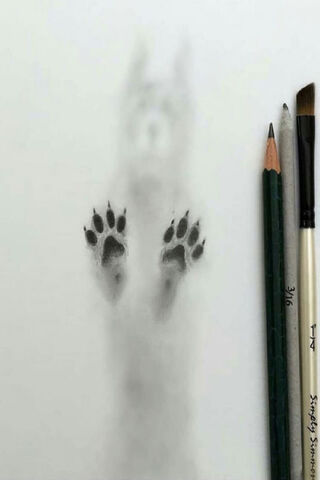 Whiskers and Paws: A Canine Impression 🐾✨