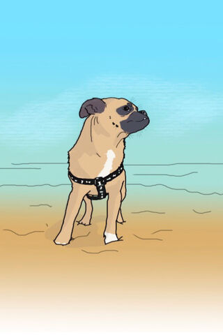 Pug Paco's Beach Adventure! 🏖️🐾
