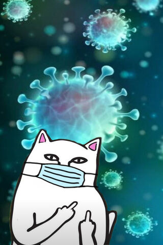 Stay Safe with Ripndip's Quirky Cat! 😷🐾