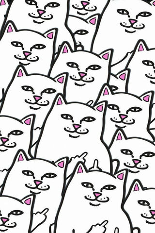 Ripndip's Mischievous Cat Crew 🐾😼