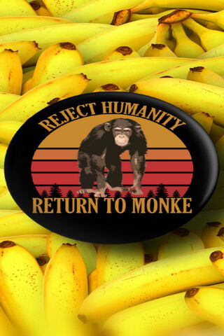 Return To Monke