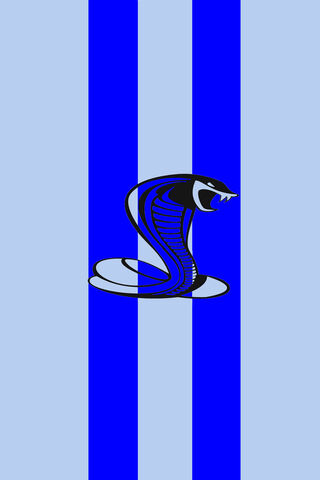 Unleashing the Power: The Shelby Cobra Logo 🐍💨