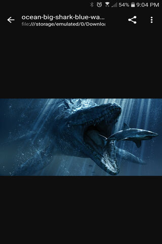 Majestic Predator of the Deep 🌊🦈