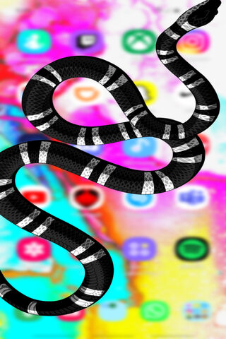 Slithering Through the Digital Jungle 🐍📱