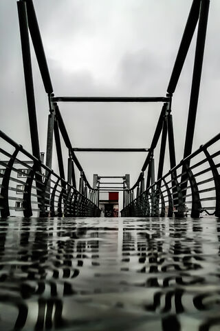 Harmony of Nature and Structure 🌧️🌿