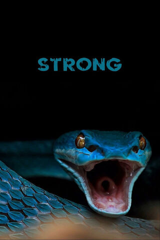 The Power of the Serpent 🐍💪