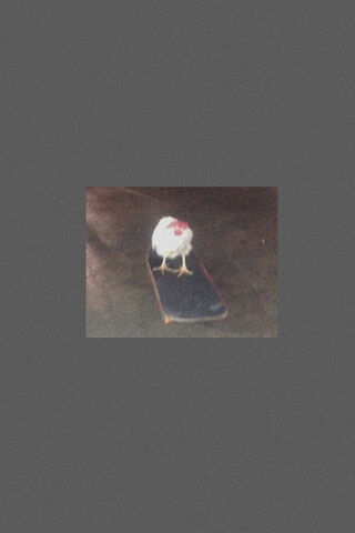 Skate Chicken