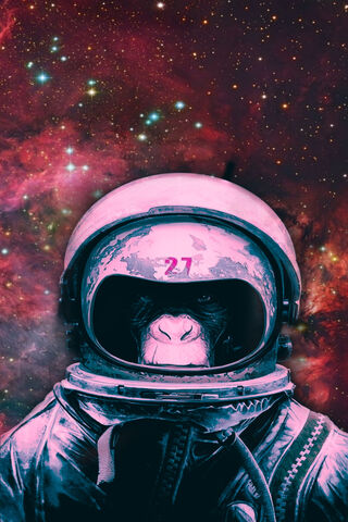 Space Monkey