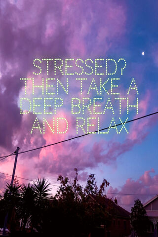 Chill Vibes: A Boston Dog's Dreamy Escape 🌈🐾