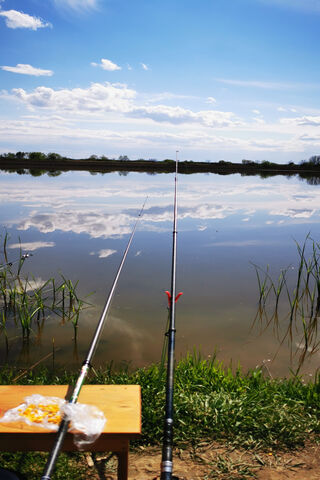Serene Waters: A Day of Fishing in Serbia 🎣🌅