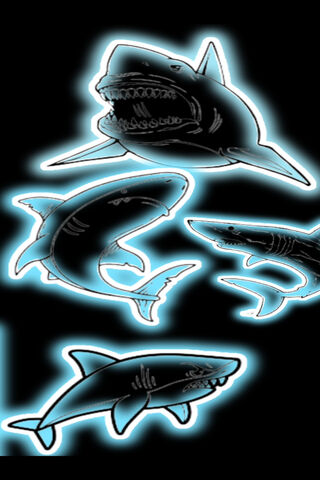 Shark Spectacle: A Glimpse into the Deep 🌊🦈