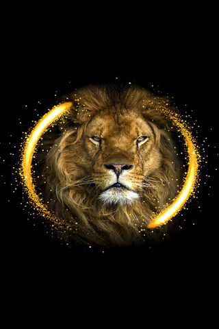 Majestic Ruler of the Savanna 🦁✨