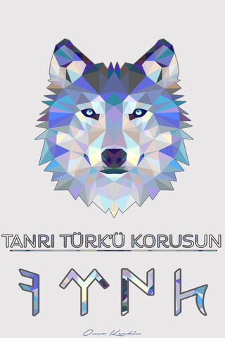 Guardian of the Turkic Spirit 🐺✨