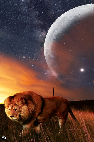 The Lion