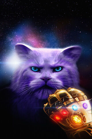 Galactic Feline: The Cosmic Cat with Power