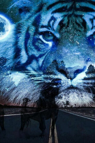 Samsung Galaxy S7 Beautiful Tiger Wallpaper  Gallery Yopriceville   HighQuality Free Images and Transparent PNG Clipart