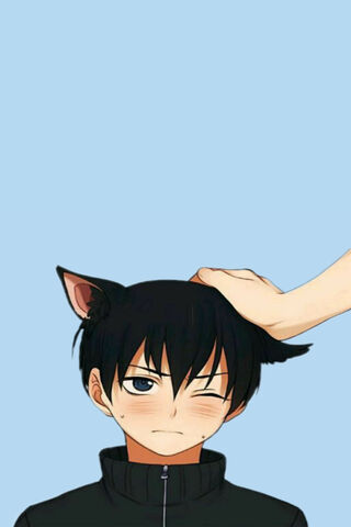 Tobio Kageyama: The Cat-Eared Setter 🐾
